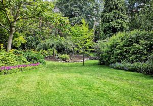 Optimiser l'expérience du jardin à Macquigny